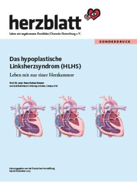 Titelbild Hypoplastisches Linksherzsyndrom HLHS (2013)