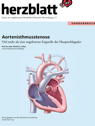 Titelbild-Aortenisthmusstenose-ISTA