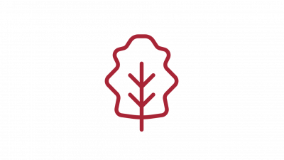 Icon von einem Salatblatt
