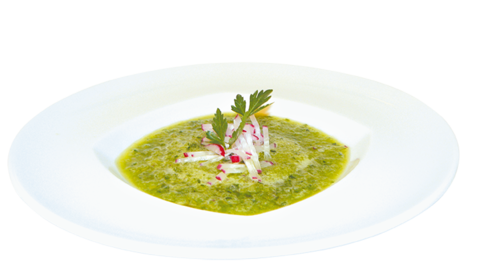 Foto von einer kalten Gurkensuppe mit Radieschen und Frühlingszwiebeln