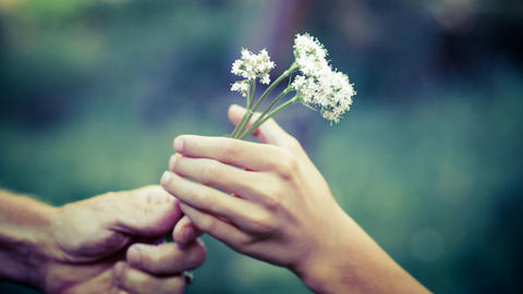 Zwei Finger um Blume