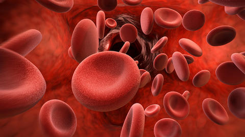 Darstellung von Thrombozyten